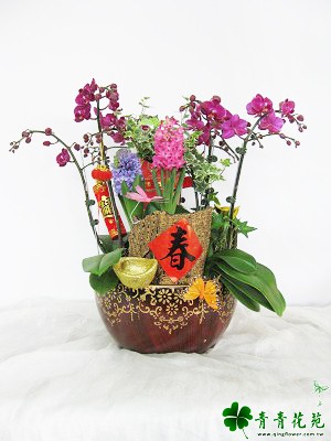 青青花苑商品