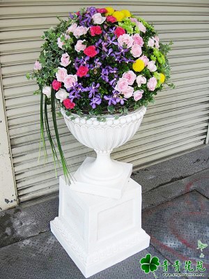 青青花苑商品